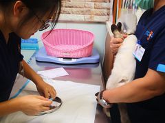 -纳吉亚猫专科动物医院博雅分院