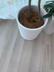-HEYAN荷妍专业脱毛连锁机构