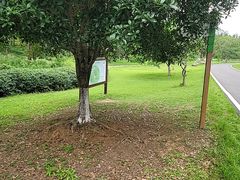 -宜兴龙背山森林公园