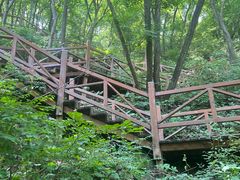 -大岭沟猕猴桃谷风景区