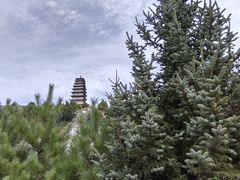 -雁门关景区