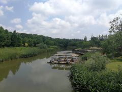 -上海长兴岛郊野公园