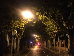 -古董花园(思南路42弄小区店)