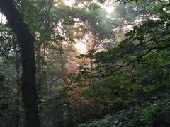 -紫金山山顶公园