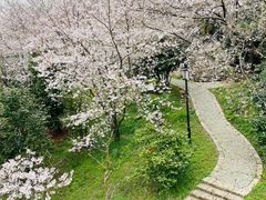 -苏州上方山国家森林公园