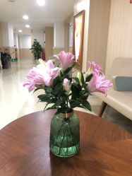 点击看大图 -广州安和泰医学月子会所