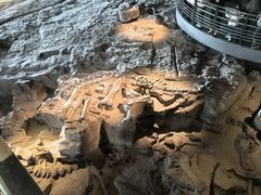 -自贡恐龙博物馆