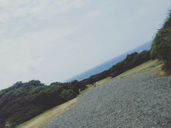 -鹅銮鼻公园