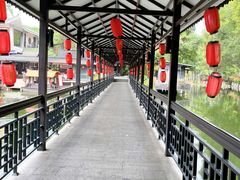 -侨美·唐荔园·40年地道粤菜