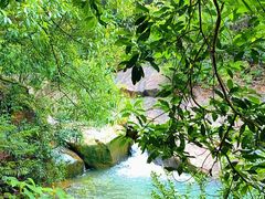 -广州白江湖森林公园