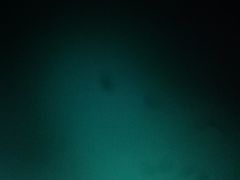 -麦当劳(火车北站餐厅)