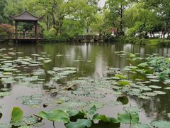 -浙江西子宾馆·瑶园咖啡厅