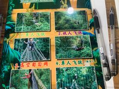 -西双版纳原始森林公园