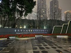 -重庆市江北嘴中央商务区中央公园