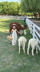 -BabyA 专业婴童摄影(古北时尚广场店)