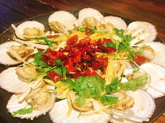 -鲁前海沿儿