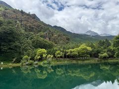-玉湖村