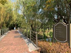 -上海佘山世茂艾美酒店