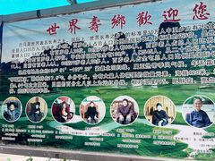 -长寿村