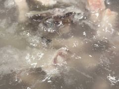 -正能量脆肉鲩火锅