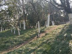 -天鹅湖体育公园