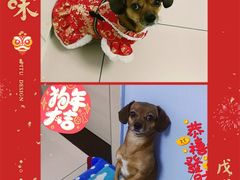 -老刘家永盛斋·传统泡馍(东关南街店)