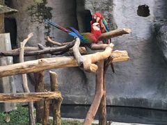 -清迈夜间动物园