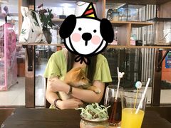 -柴源莊·柴小宠柴犬咖啡