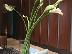 -green essence 青籁优体(三里屯店)