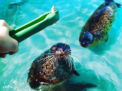 -太平洋海底世界