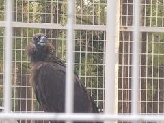 -秦皇岛野生动物园
