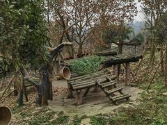 -都江堰中华大熊猫苑