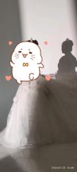 -金夫人婚纱摄影(总店)