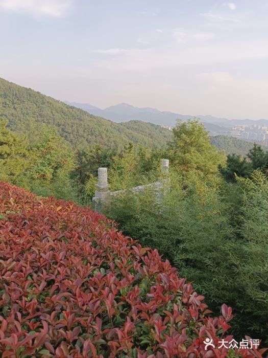 竹子庵公园图片