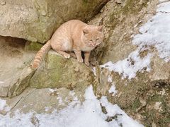 -终南山南五台景区