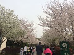 -尚贤河湿地