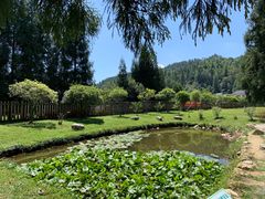 -井冈山风景名胜区