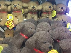 -奇奇乐园电玩城(立丰国际购物广场店)