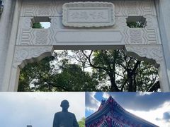-广东惠东海龟国家级自然保护区