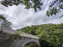 -白水寺森林公园