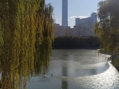 -团结湖公园