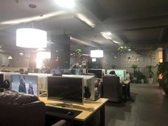 -网鱼网咖(金山卫零店)