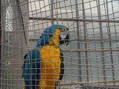 -南宫五洲植物乐园