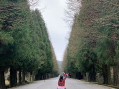-山王坪喀斯特国家生态公园