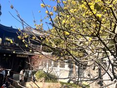 -惠山古镇·寄畅园