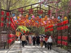 -哈密回王府景区