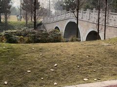 -眉山湿地公园(东坡区)