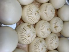 -东北公社(北京路店)