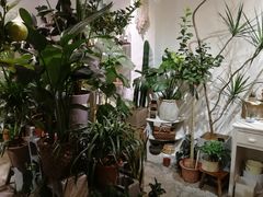 -三囍糖水·小吃铺