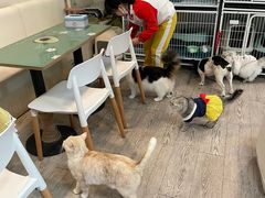 -小时光咖啡馆(北锣鼓巷店)